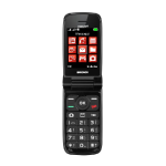 Brondi Magnum 4